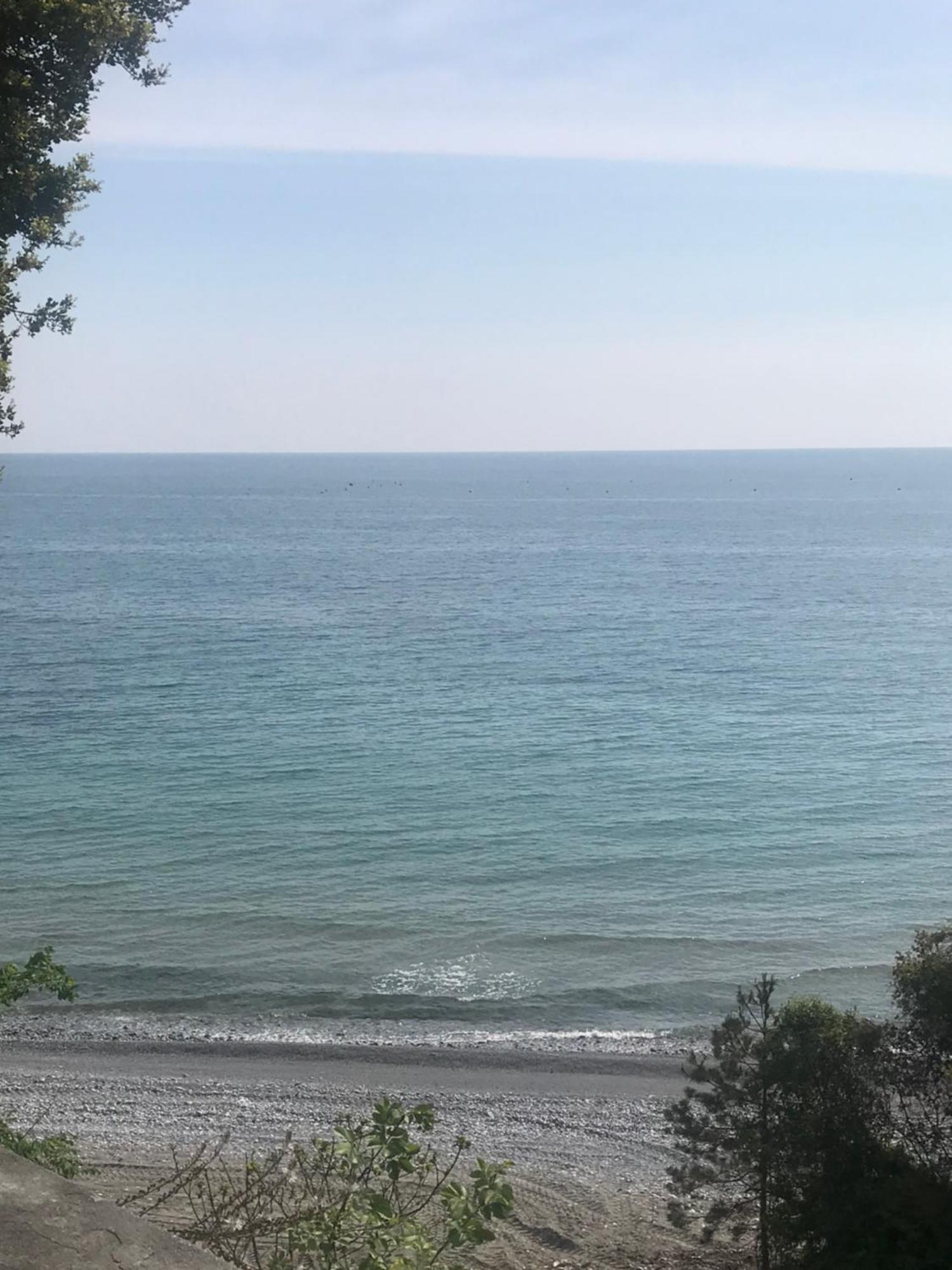 Zeusplace Seaside Home Private Beach And Parking Plaka Litochorou Ngoại thất bức ảnh