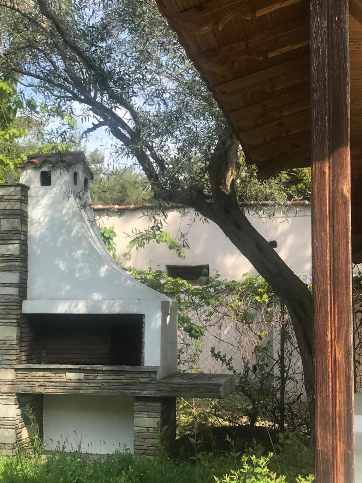 Zeusplace Seaside Home Private Beach And Parking Plaka Litochorou Ngoại thất bức ảnh