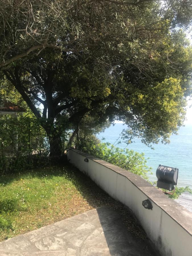 Zeusplace Seaside Home Private Beach And Parking Plaka Litochorou Ngoại thất bức ảnh