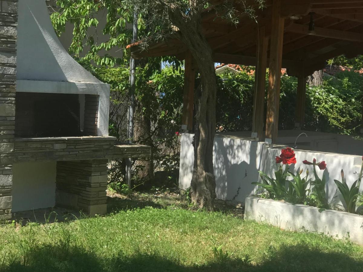 Zeusplace Seaside Home Private Beach And Parking Plaka Litochorou Ngoại thất bức ảnh